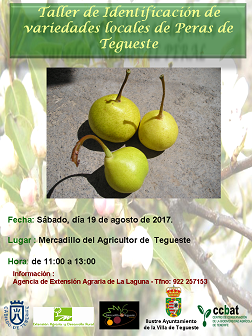 Conocer más de la pera en el Mercado del Agricultor de Tegueste