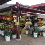 Flores y Plantas Chajo en Mercadillo de Tegueste